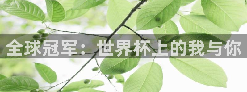世界杯48支球队赛制:全球冠军:世界杯上的我与你