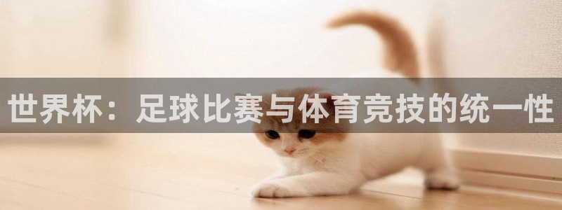 2026世界杯对阵图:世界杯:足球比赛与体育竞技的统一性