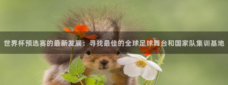 世界杯今年：世界杯预选赛的最新发展：寻找最佳的全球足球舞台和国家队集训基地
