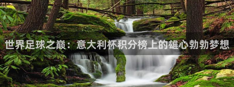 2026世界杯足球赛程时间表：世界足球之巅：意大利杯积分榜上的雄心勃勃梦想