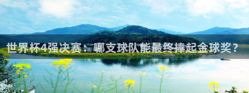 2006年世界杯冠军：世界杯4强决赛：哪支球队能最终捧起金球奖？