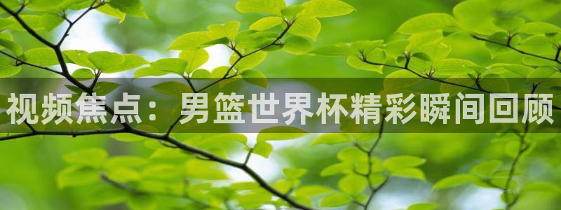 世界杯赛程时间表：视频焦点：男篮世界杯精彩瞬间回顾