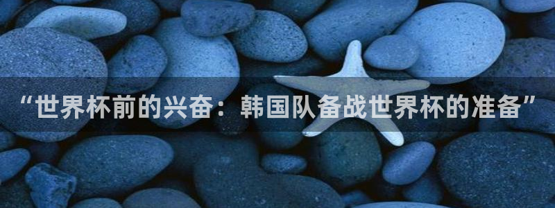 世界杯亚洲区预选赛积分榜：“世界杯前的兴奋：韩国队备战世界杯的准备”