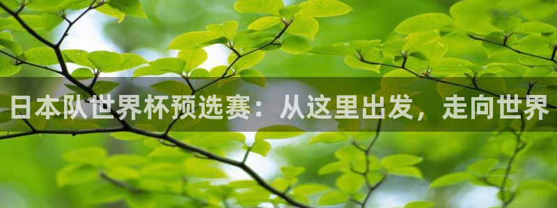 世界杯比赛赛程：日本队世界杯预选赛：从这里出发，走向世界