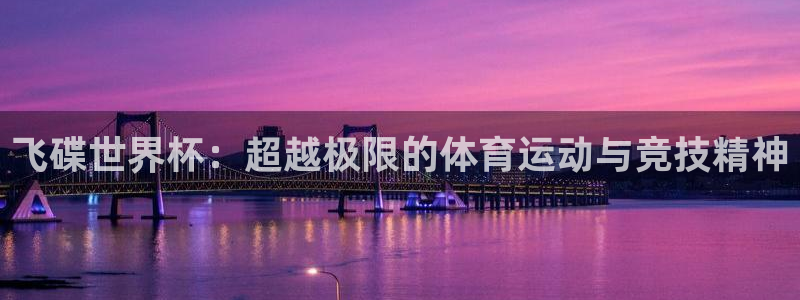 2026世界杯直播免费观看：飞碟世界杯：超越极限的体育运动与竞技精神