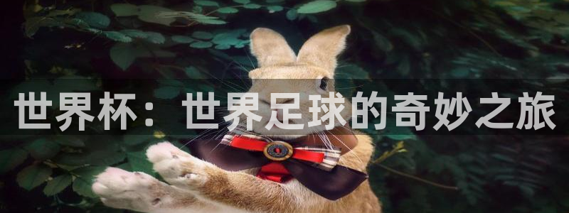 世界杯直播网：世界杯：世界足球的奇妙之旅